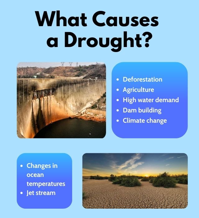  What causes a drought?