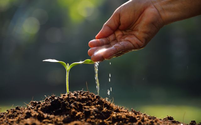  Tips to deal with drought
