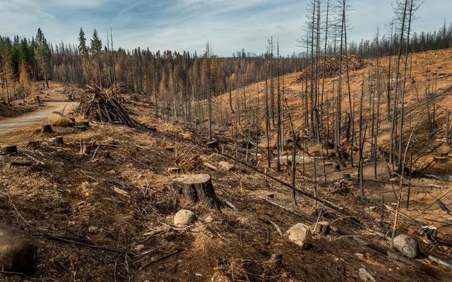  Human causes of drought