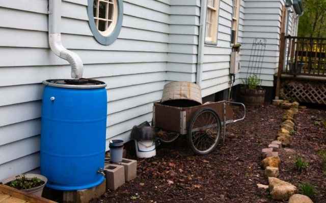  A rain barrel
