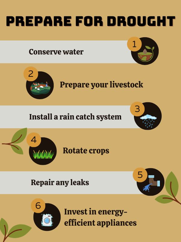 How do you prepare for a drought?