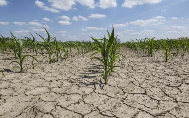 What methods can you apply to prepare for a drought?