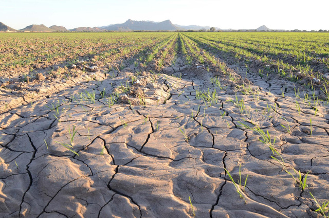  Drought can occur in any environment worldwide