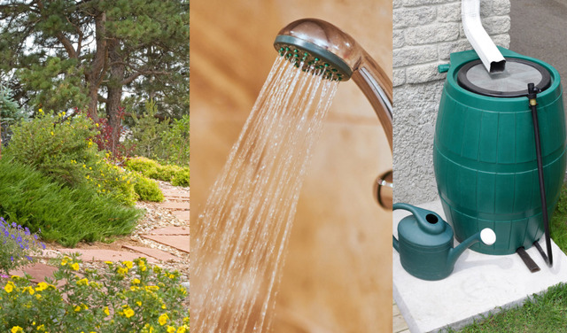  Ways to prepare for a drought
