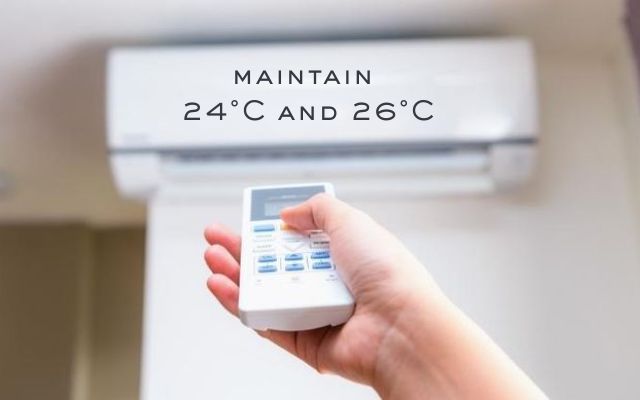 Maintain 24°C and 26°C to avoid the temperature shock